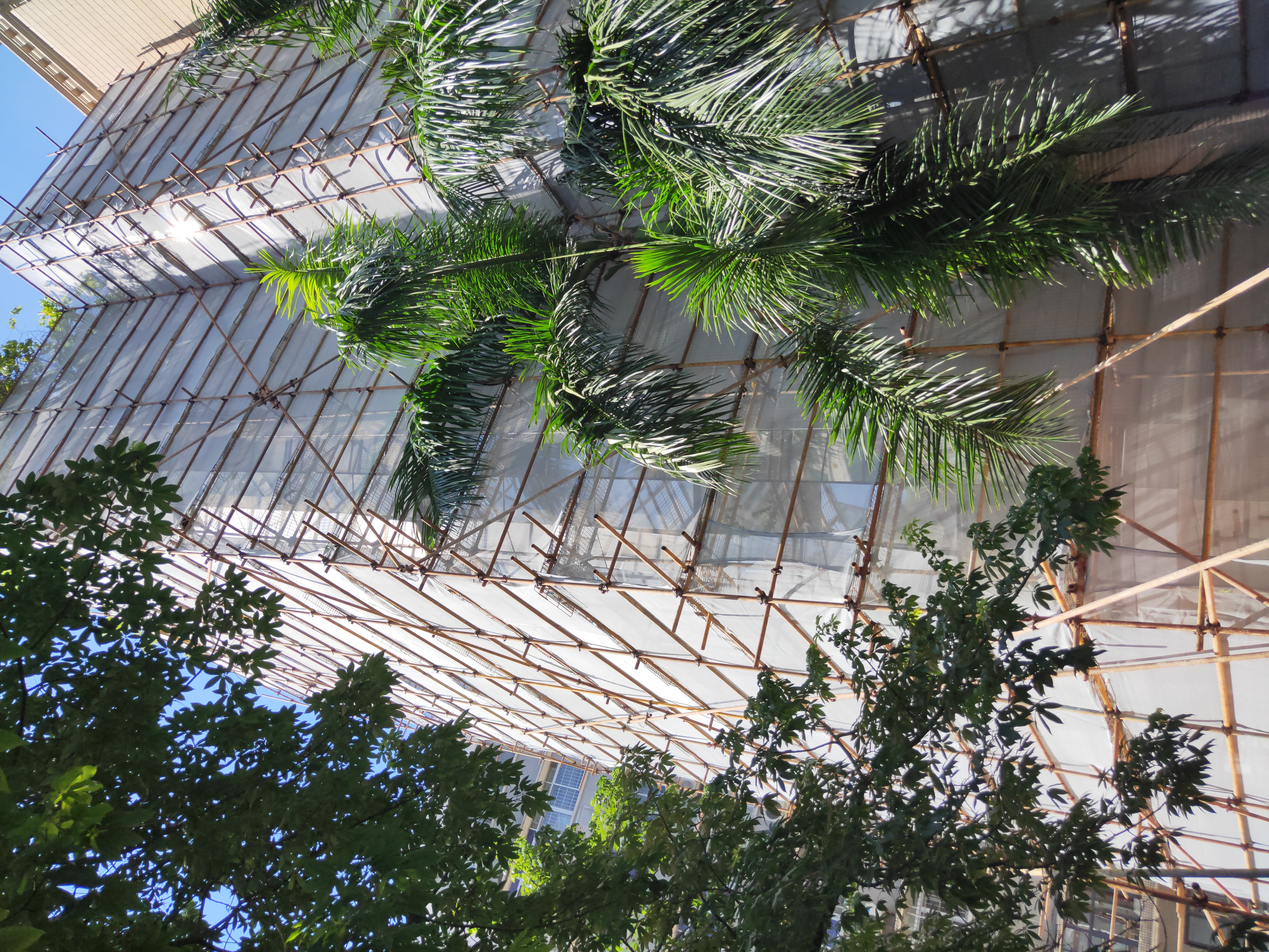 suncitygroup太阳成集团